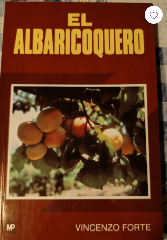 EL ALBARICOQUERO