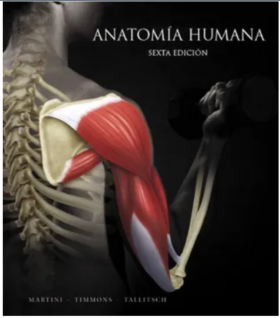 ANATOMIA HUMANA