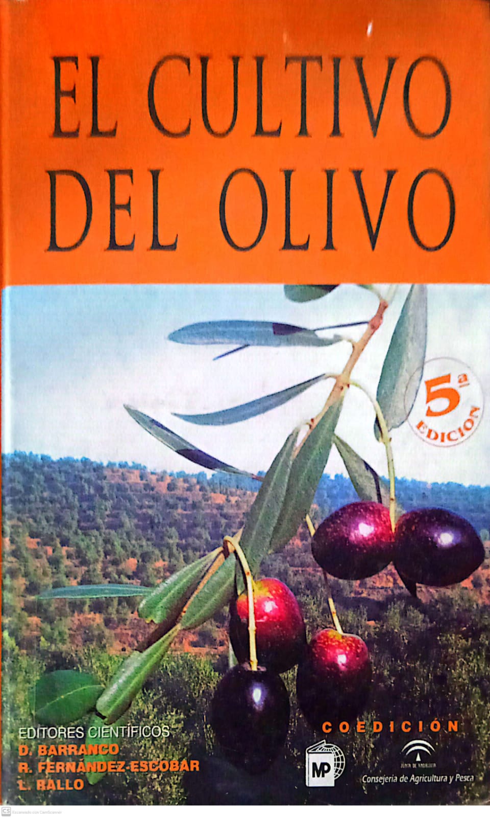 EL CULTIVO DEL OLIVO