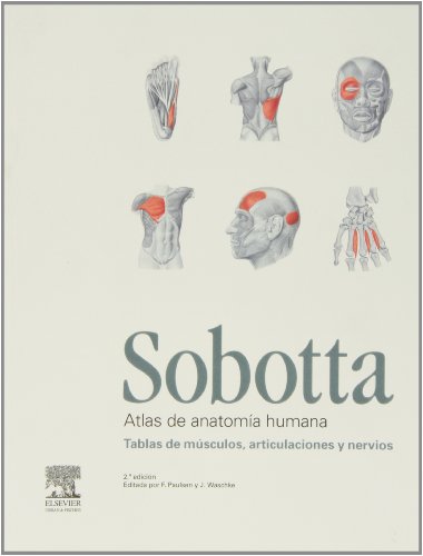 SOBOTTA. ATLAS DE ANATOMIA HUMANA: TABLAS DE MUSCULOS, ARTICULACIONES Y NERVIOS