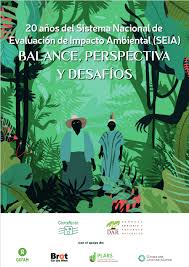 20 AÑOS DEL SISTEMA NACIONAL DE EVALUACIÓN DE IMPACTO AMBIENTAL (SEIA) : BALANCE, PERSPECTIVA Y DESAFÍOS.