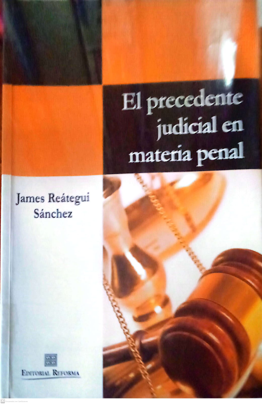 EL PRECEDENTE JUDICIAL EN MATERIA PENAL