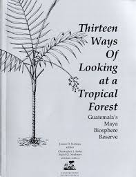 THIRTEEN WAYS OF LOOKING AT A TROPCAL FOREST