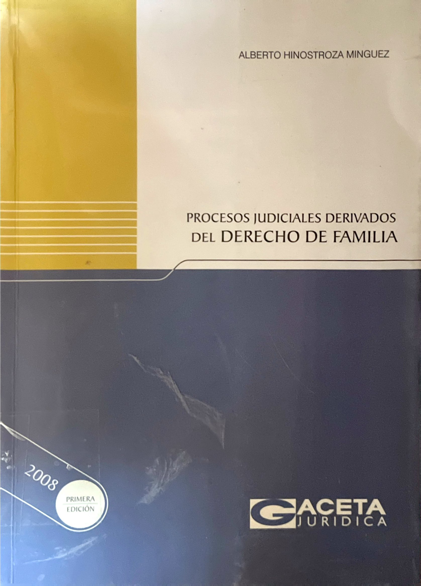 PROCESOS JUDICIALES DERIVADOS DEL DERECHO DE FAMILIA