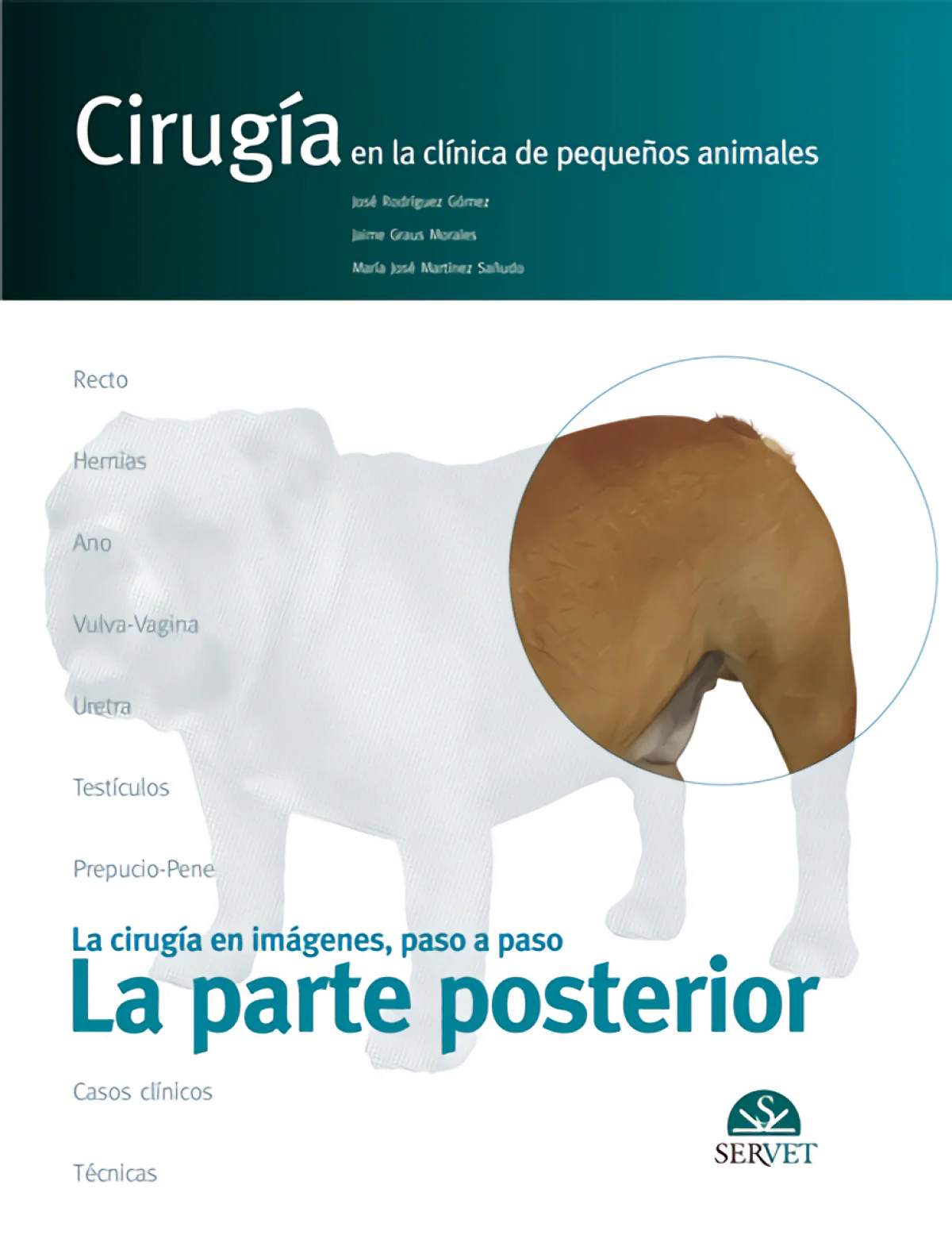 LA CIRUGIA EN IMAGENES, PASO A PASO. LA PARTE POSTERIOR