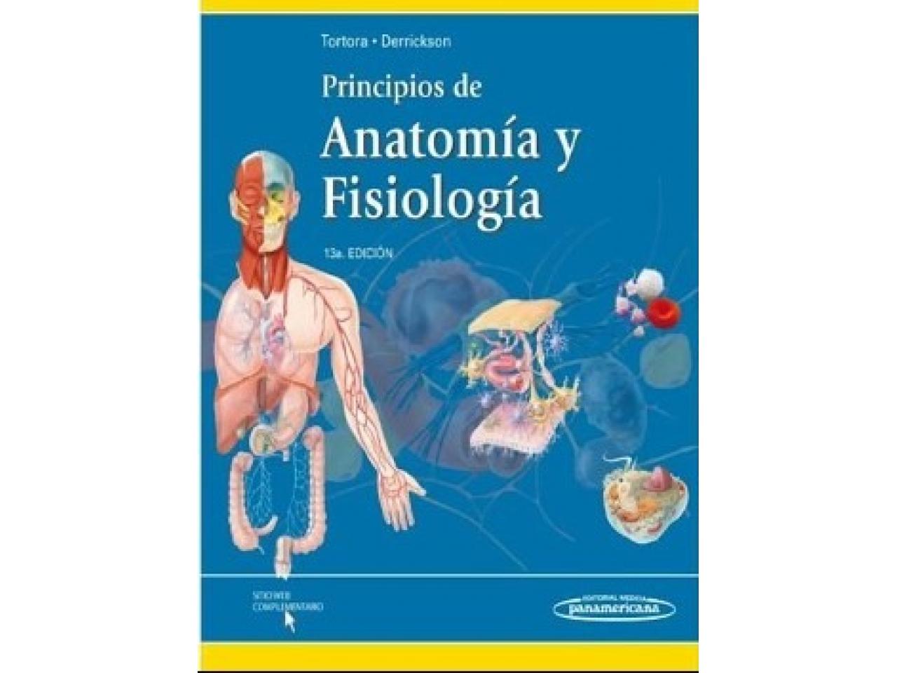 PRINCIPIOS DE ANATOMIA Y FISIOLOGIA