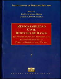 RESPONSABILIDAD CIVIL  DERECHO DE DAÑOS