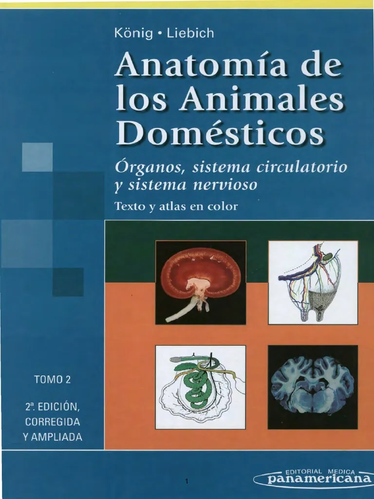 ANATOMIA DE LOS ANMALES DOMESTICOS. TOMO II (3 REIMPRESION)
