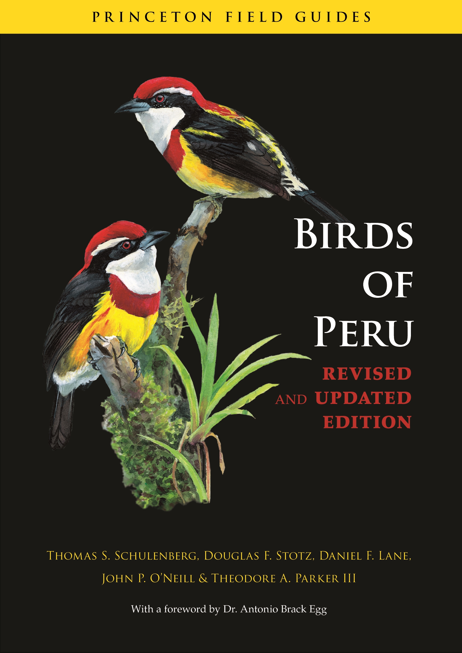 BIRDS OF PERU