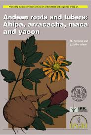 ANDEAN ROOTS AND TUBERS: AHIPA, ARRACACHA, MACA AND YACON