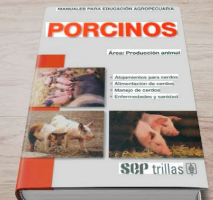 PORCINOS