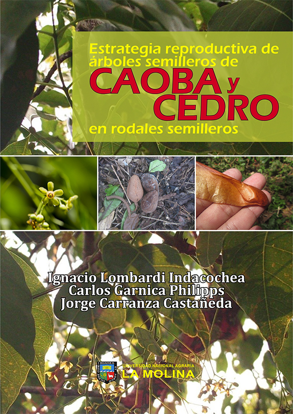 ESTRATEGIA REPRODUCTIVA DE ARBOLES SEMILLEROS DE CAOBA Y CEDRO EN RODALES SEMILLEROS