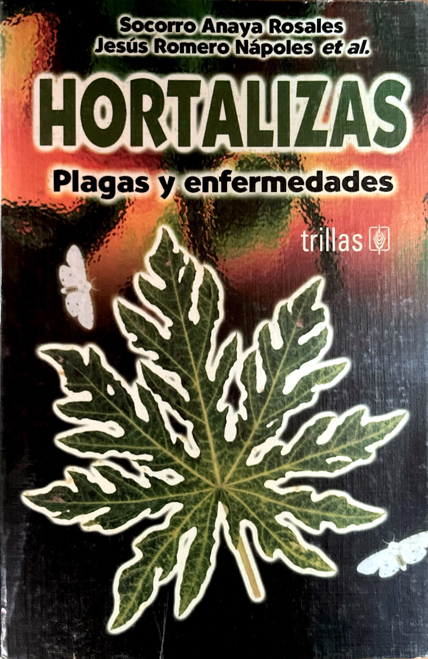 HORTALIZAS - PLAGAS Y ENFERMEDADES