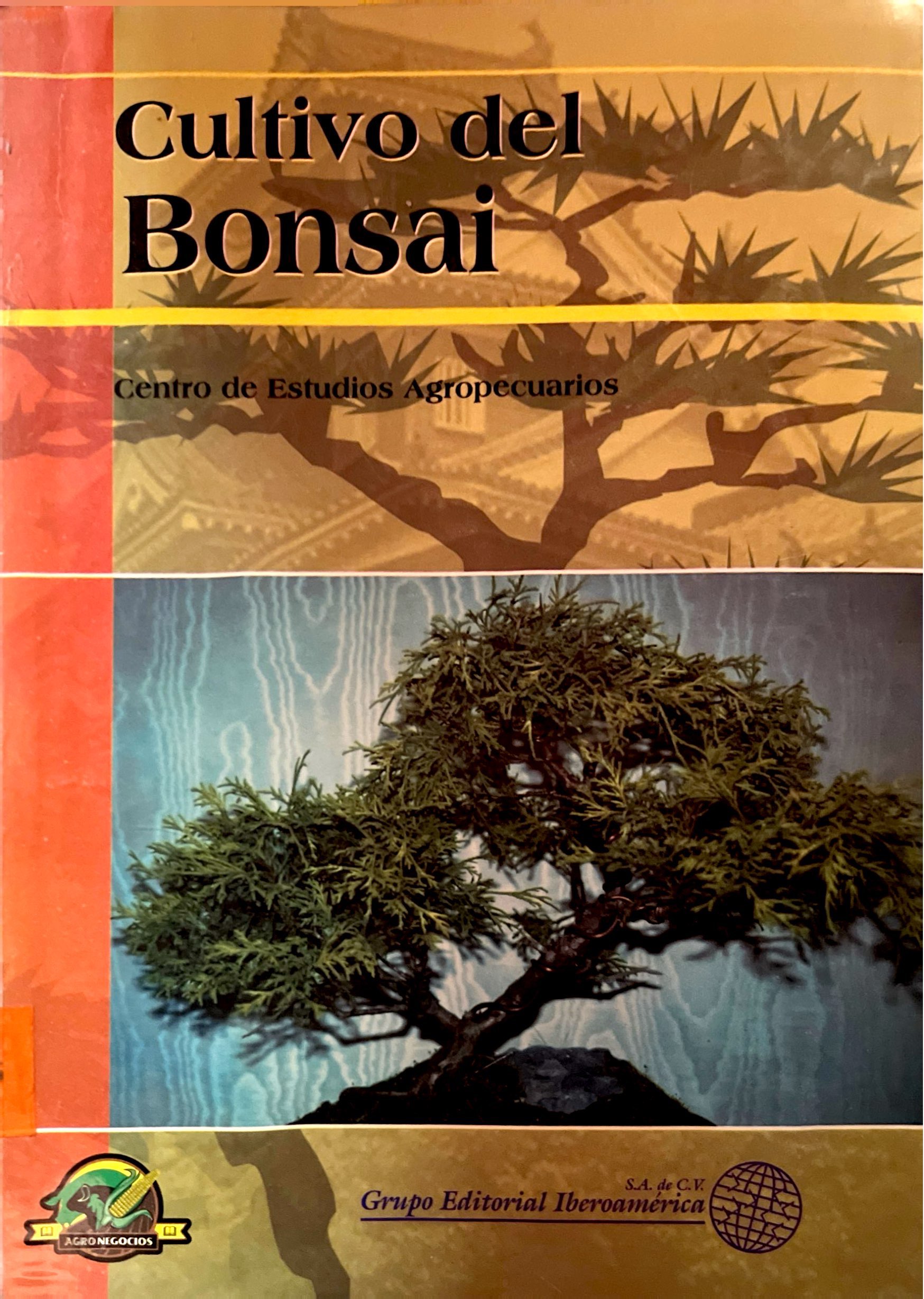CULTIVO DEL BONSAI