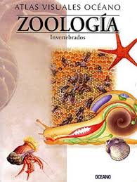 ATLAS VISUALES OCEANO ZOOLOGIA INVERTEBRADOS