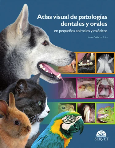ATLAS VISUALES DE PATOLOGIAS DENTALES Y ORALES EN PEQUEÑOS ANIMALES Y EXOTICOS