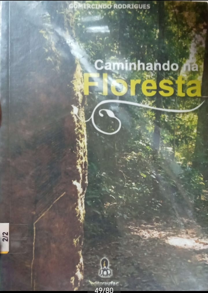 CAMINHANDO NA FLORESTA