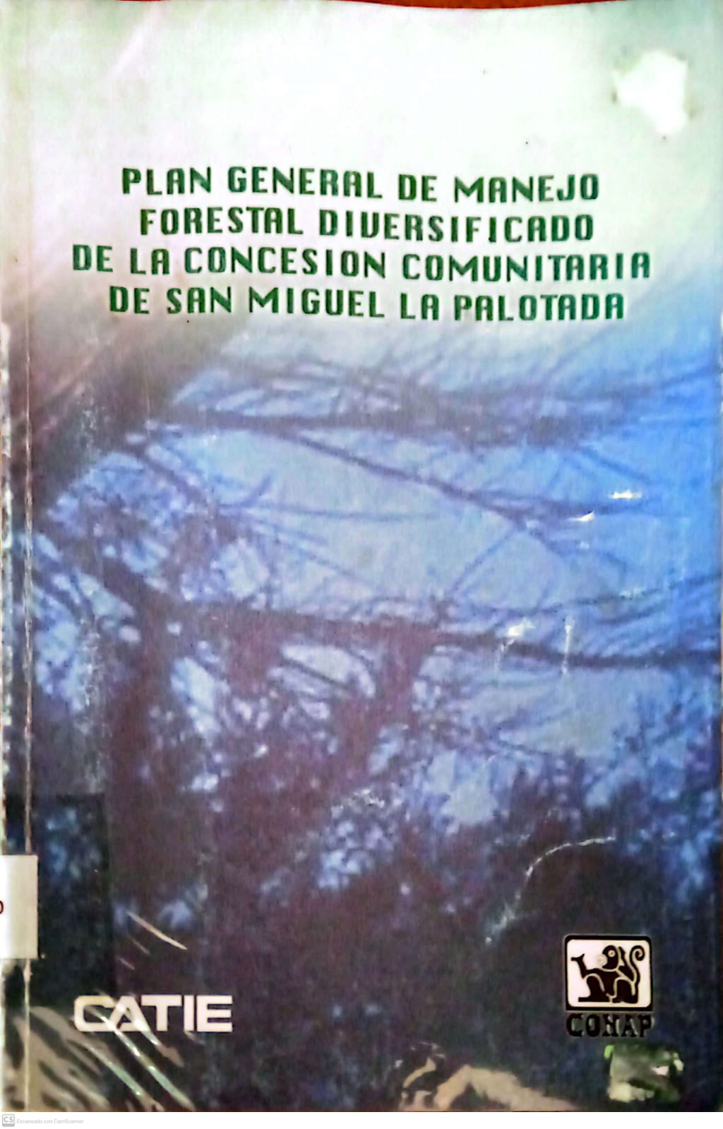 PLAN GENERAL DE MANEJO FORESTAL DIVERSIFICADO DE LA CONCESION COMUNITARIA DE SAN MIGUEL LA PALOTADA