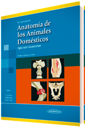 ANATOMIA DE LOS ANIMALES DOMESTICOS. TOMO I