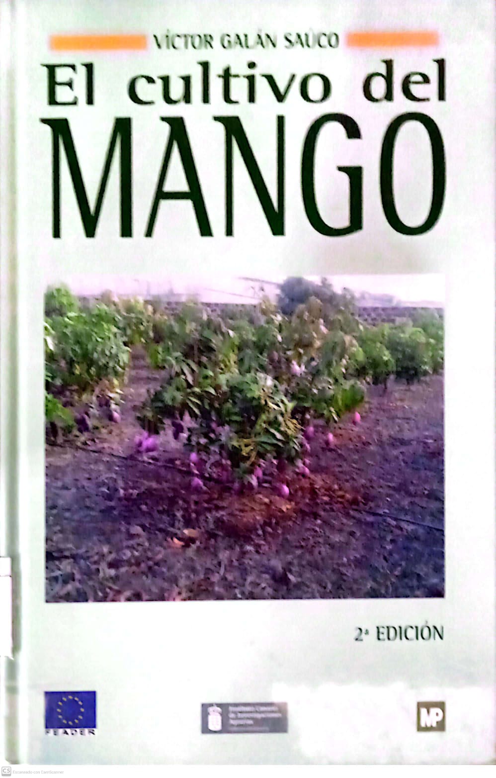 EL CULTIVO DEL MANGO