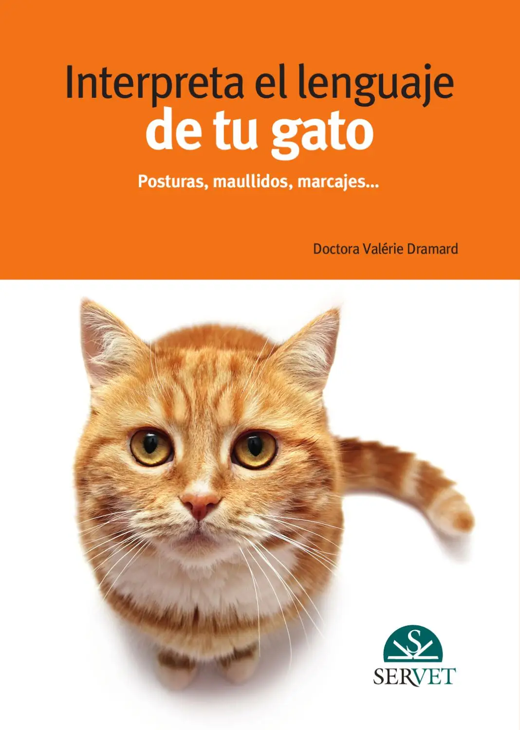 INTERPRETA EL LENGUAJE DE TU GATO, POSTURAS, MAULLIDOS, MARCAJES..