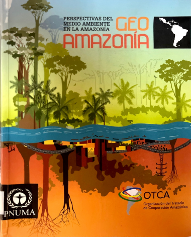 PERSPECTIVAS DEL MEDIO AMBIENTE EN LA AMAZONIA
