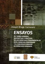 ENSAYOS DE TEORIA GENERAL  SUSTANTIVA Y PROCESAL DE LOS DERECHOS FUNDAMENTALES EN EL DERECHO COMPARADO Y EL CONVENIO EUROPEO DE DERECHOS HUMANOS