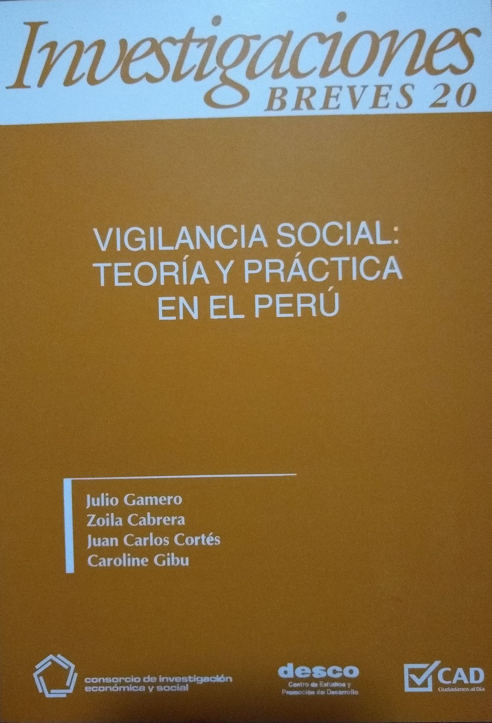VIGILANCIA SOCIAL: TEORIA Y PRACTICA EN EL PERU