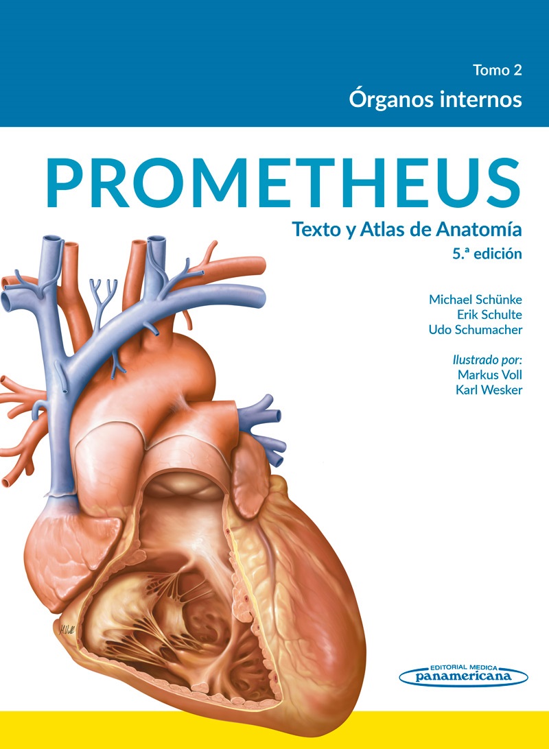 PROMETHEUS TEXTO Y ATLAS DE ANATOMIA TOMO II