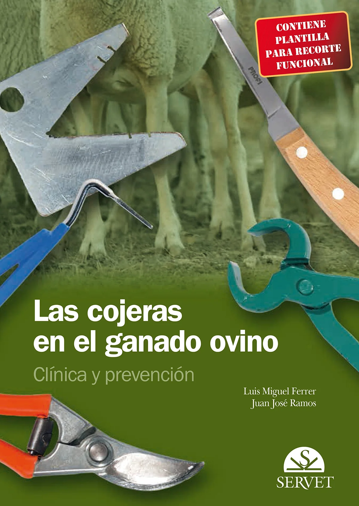 LAS COJERAS EN EL GANADO OVINO