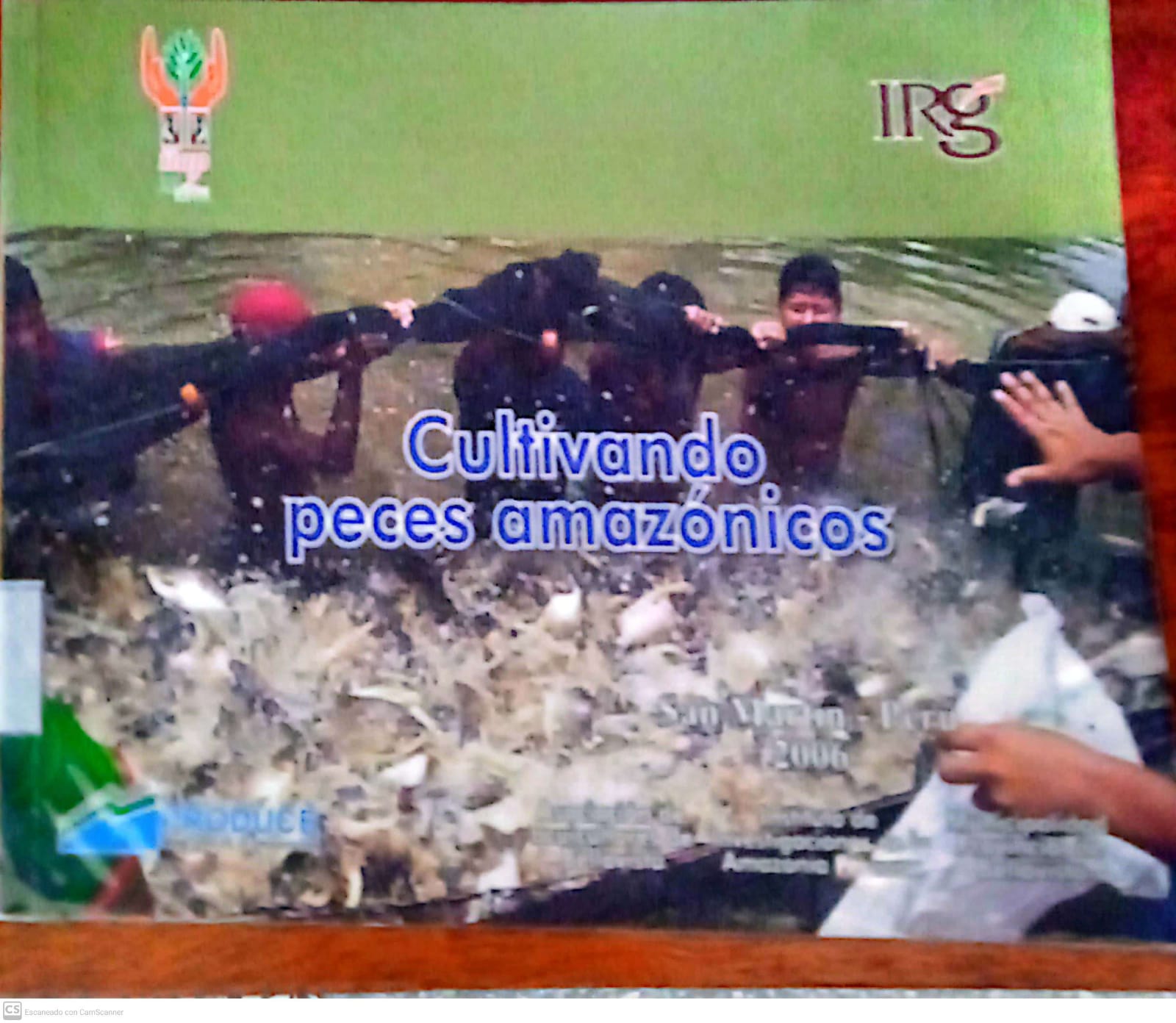 CULTIVANDO PECES AMAZÓNICOS