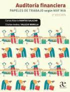AUDITORIA FINANCIERA PAPELES DE TRABAJO SEGÚN NIIF NIA
