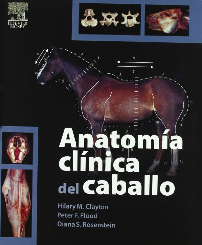 ANATOMIA CLINICA DEL CABALLO