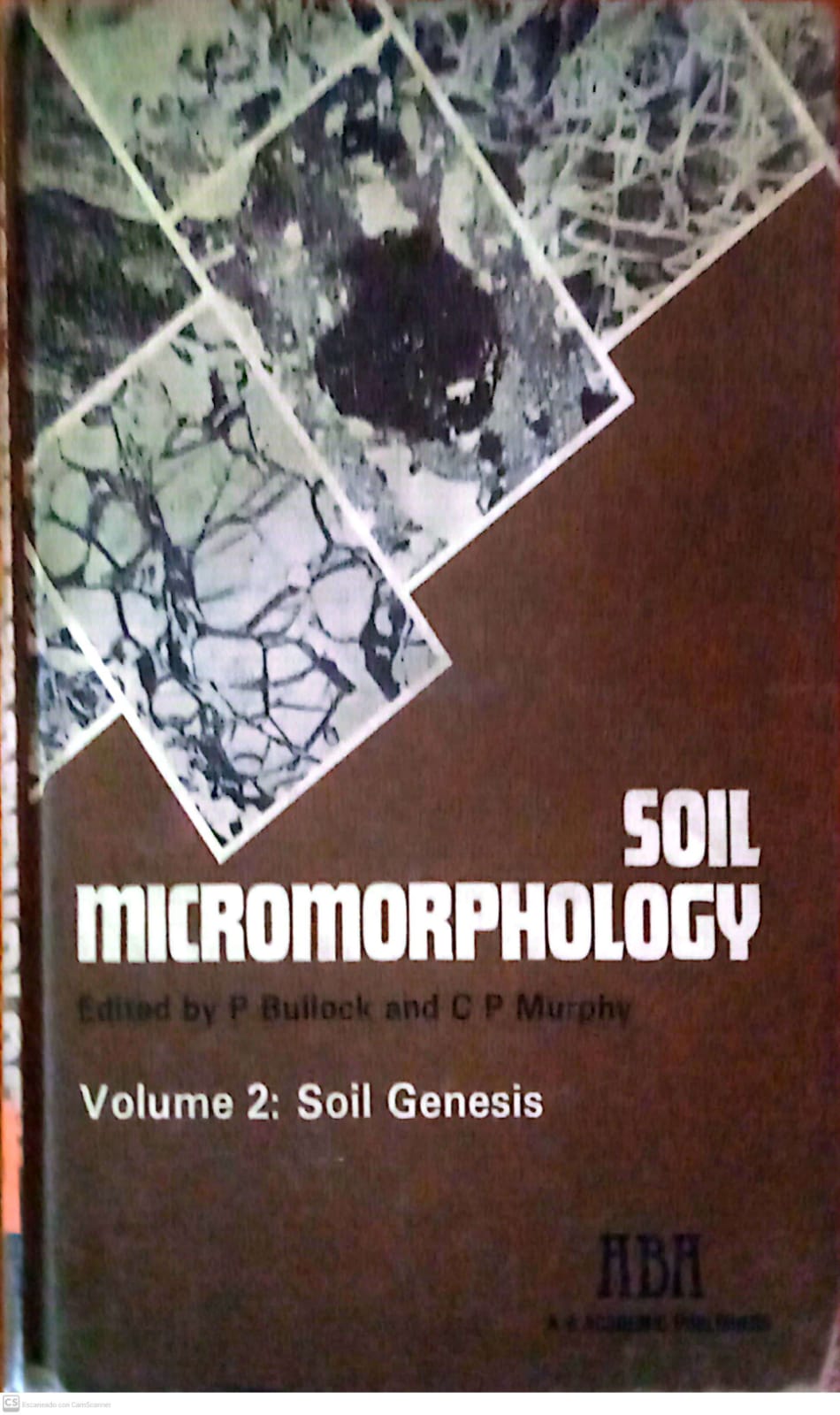 SOIL MICROMORPHOLOGY VOL 2