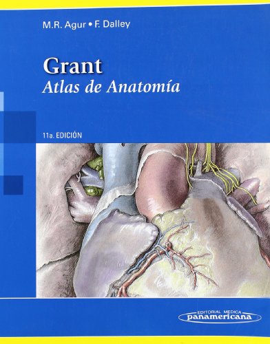 ATLAS DE ANATOMIA