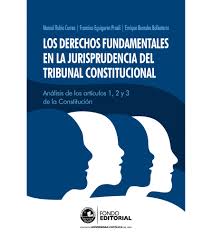 LOS DERECHOS FUNDAMENTALES EN LA JURISPRUDENCIA DEL TRIBUNAL CONSTITUCIONAL