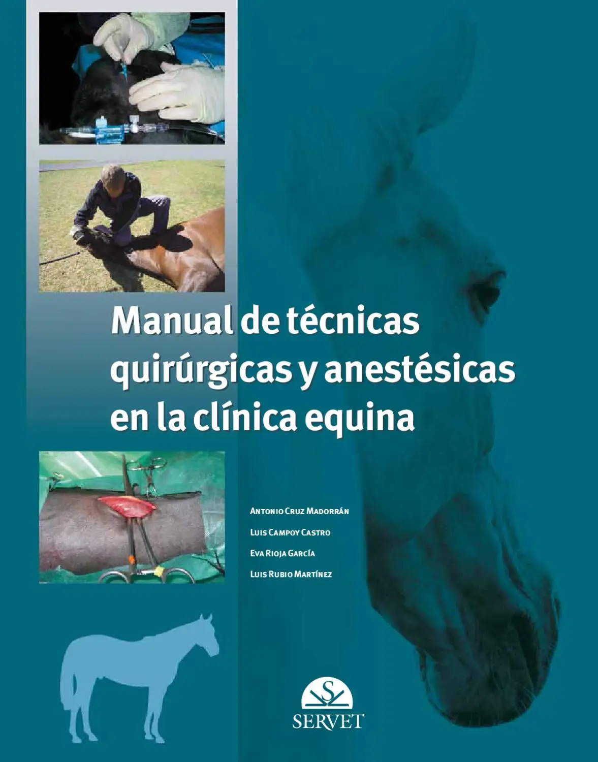 MANUAL DE TECNICAS QUIRURGICAS Y ANESTESICAS EN LA CLINICA EQUINA