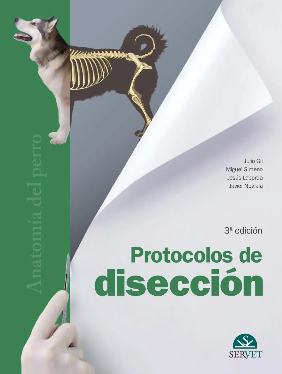 PROTOCOLOS DE DISECCION