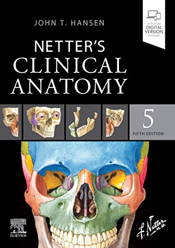 NETTER ANATOMIA CLINICA