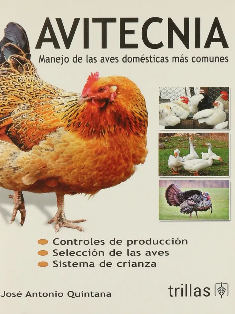 AVITECNIA MANEJO DE LAS AVES DOMESTICAS MAS COMUNES