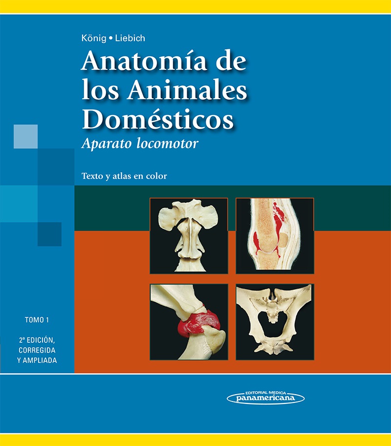 ANATOMIA DE LOS ANIMALES DOMESTICOS. TOMO I (3 REIMPRESION)