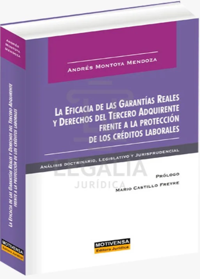 LA EFICACIA DE LAS GARANTIAS REALES Y DERECHOS DEL TERCERO