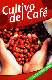 CULTIVO DEL CAFE