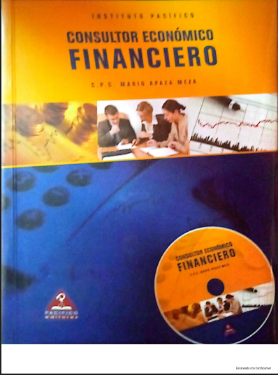 CONSULTOR ECONOMICO FINANCIERO