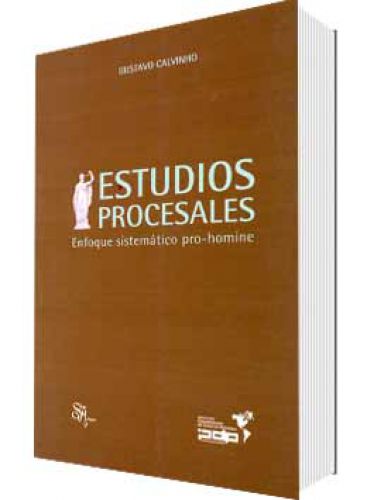 ESTUDIOS PROCESALES. ENFOQUE SISTEMATICO PRO-HOMINE