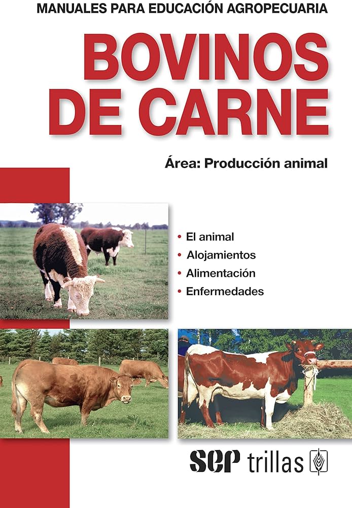 BOVINOS DE CARNE