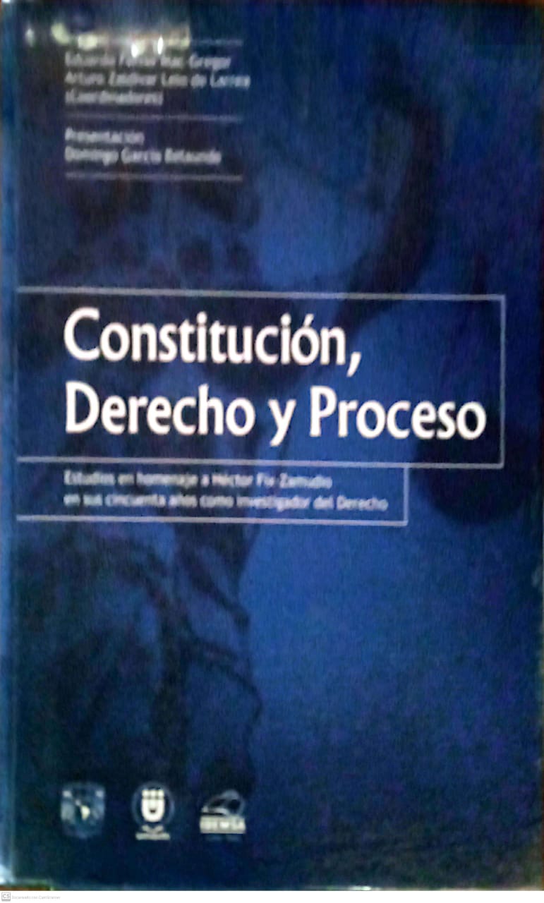 CONSTITUCION, DERECHO Y PROCESO
