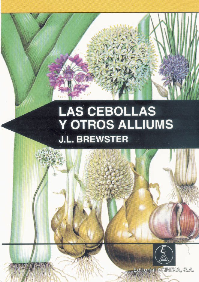LAS CEBOLLAS Y OTROS ALLIUMS