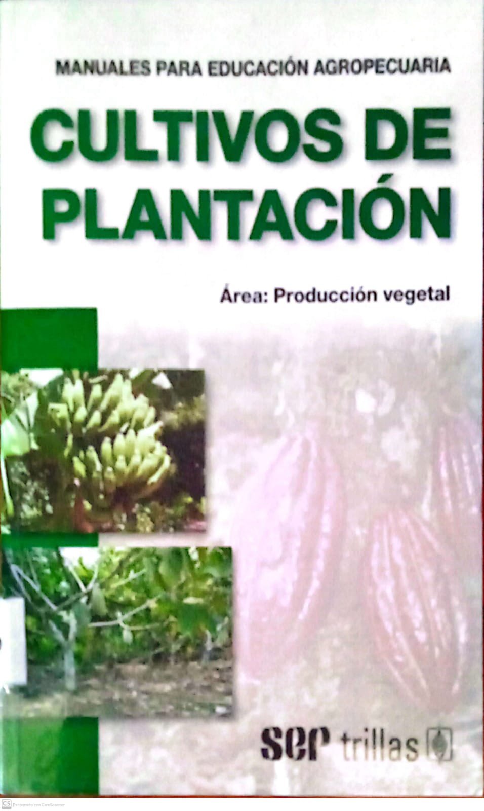 CULTIVOS DE PLANTACION