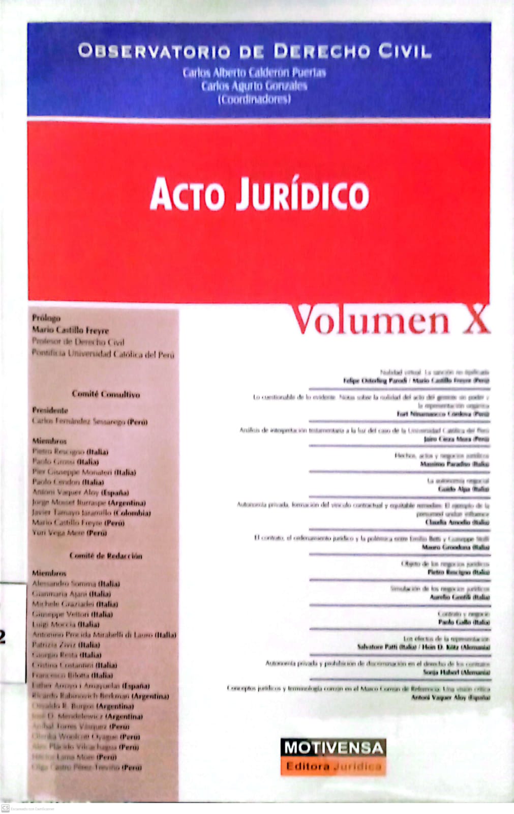 OBSERVATORIO DE DERECHO CIVIL, ACTO JURIDICO VOLUMEN X